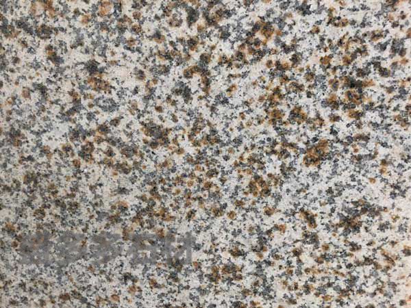 黃繡石(shi)荔枝面